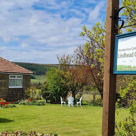 Woodpeckers Cottage Scarborough Esterno foto